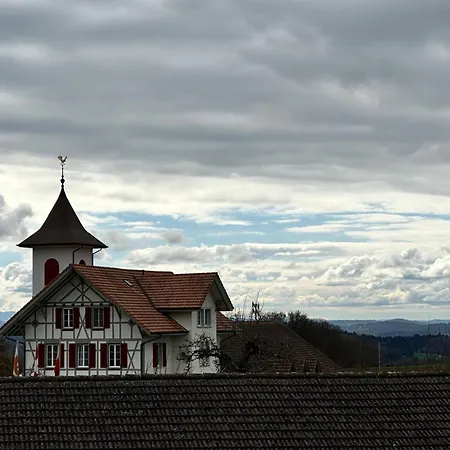 Sternen Detligen Radelfingen